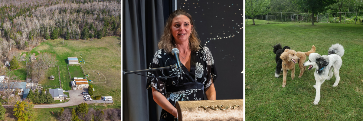 images of Cantope Kennel in Georgina