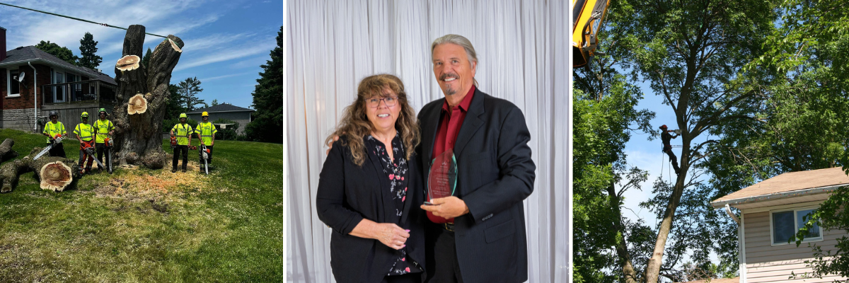 images of Forest Glenn Tree Care