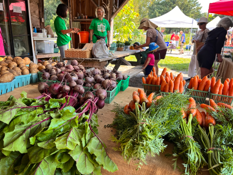 agriculture in georgina